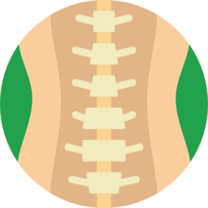 Lumbar Laminectomy Spine Decompression