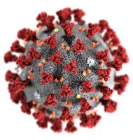 Coronavirus-CDC-e1601921356543-768x805